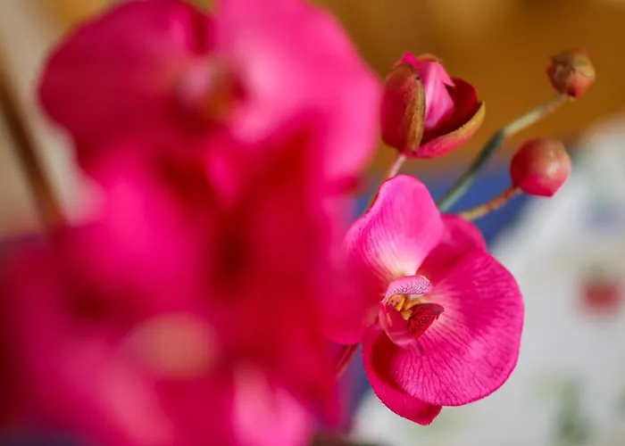 Gasthof Bader Deutsch Goritz